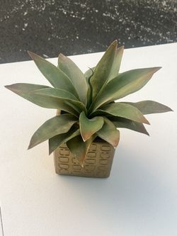 Small Artificial Plant