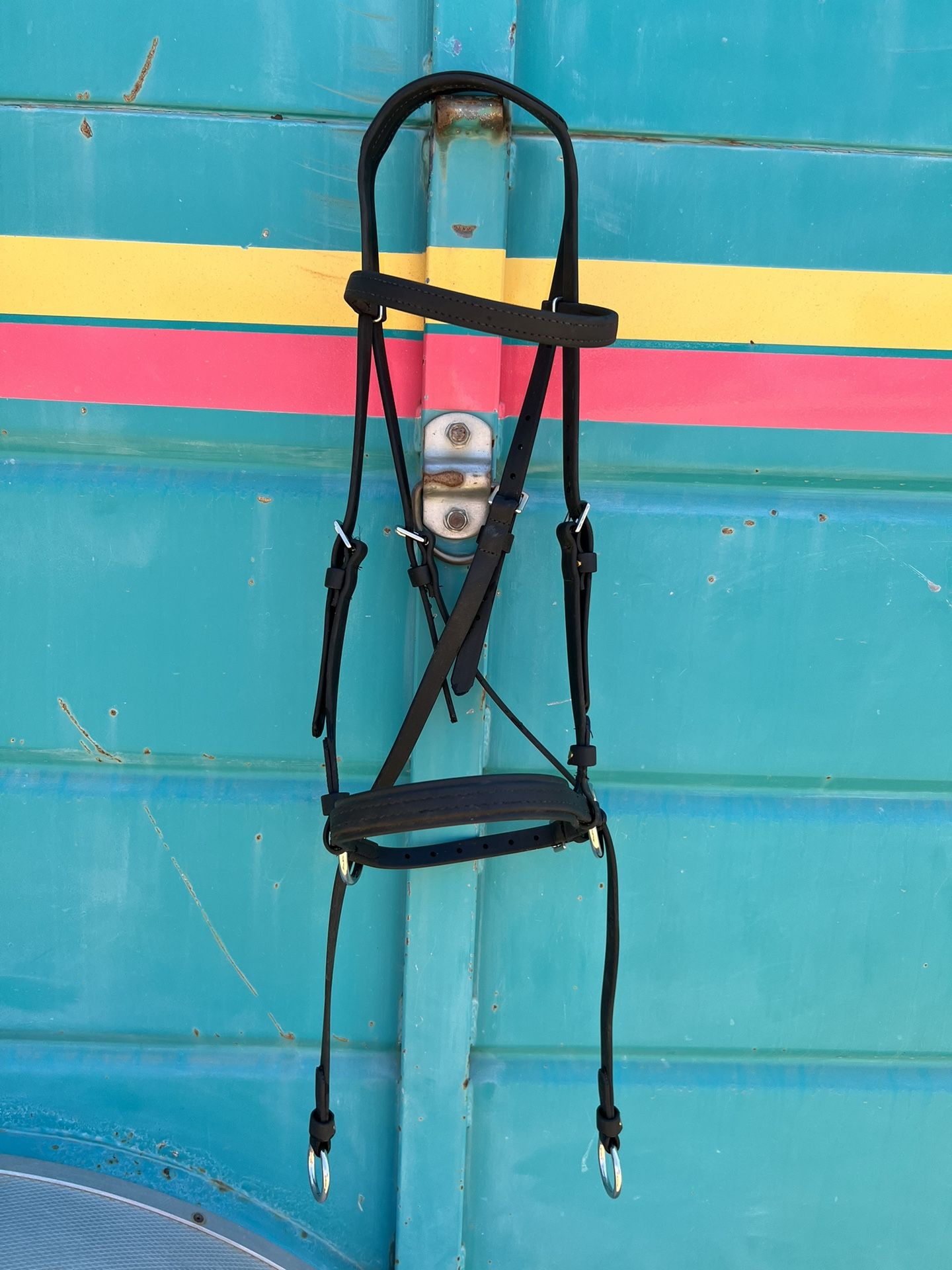 Dr Cook Bitless Bridle