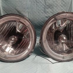 Hallo 05 Mustang Light