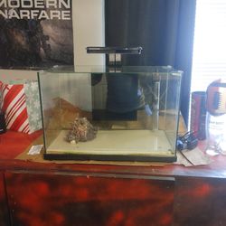 Fish tank
