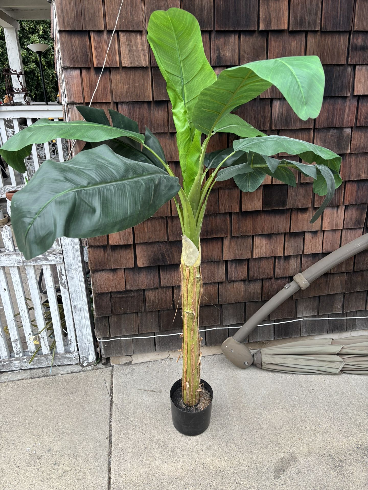 Artificial 5 Ft Tree $20