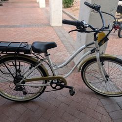 E-Bike Swagron
