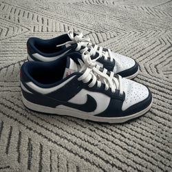 Nike Dunk Low Size 10.5