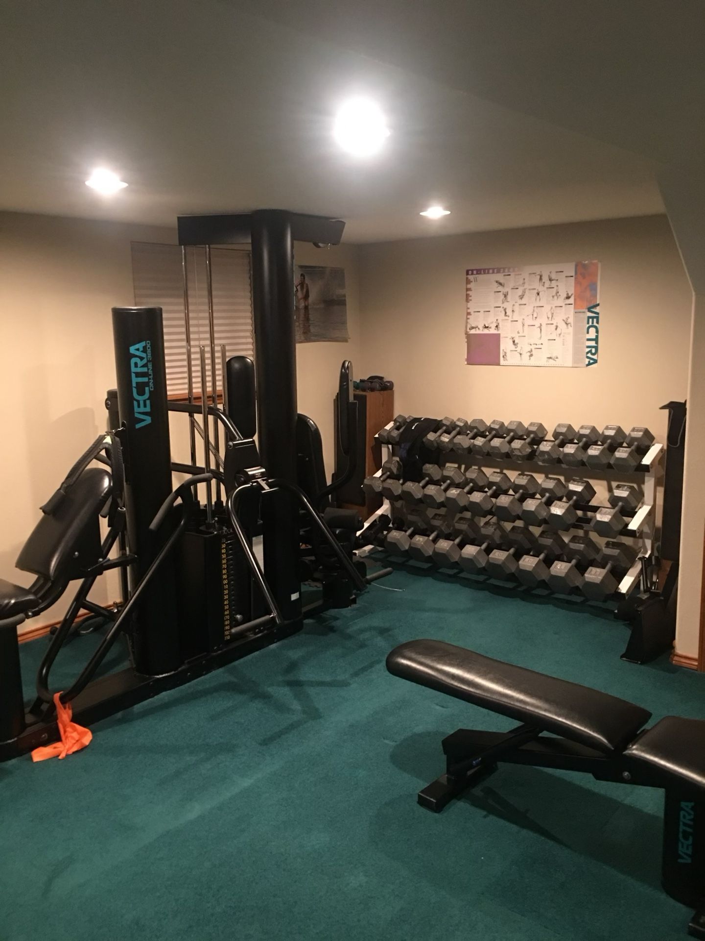 Vectra OnLine 3800 Home Gym And Weight Rack