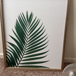 Home Decorations