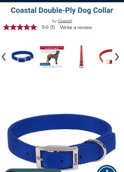 New Blue 26" Dog Collar & 6' Leash