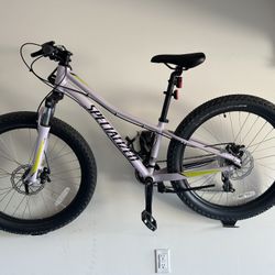 Specialize 24 In Rip Rock Good Working Condition 