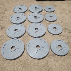 Bumper Weights Dumbbells