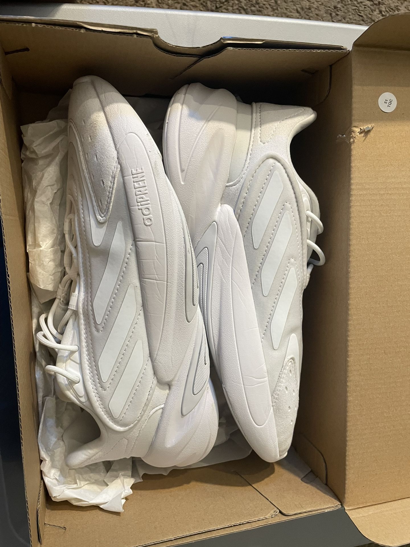 Adidas’s Zz