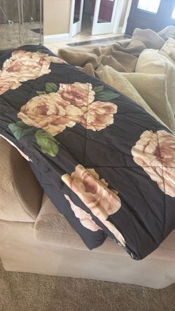 Pottery Barn Teen (Emily & Merritt)