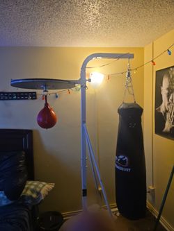 Speed bag and punching bag stand