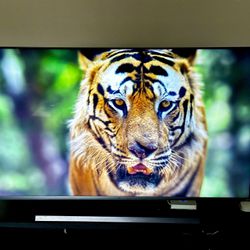 75” TCL 4K QLED Roku TV With Dolby Vision And HDR Support