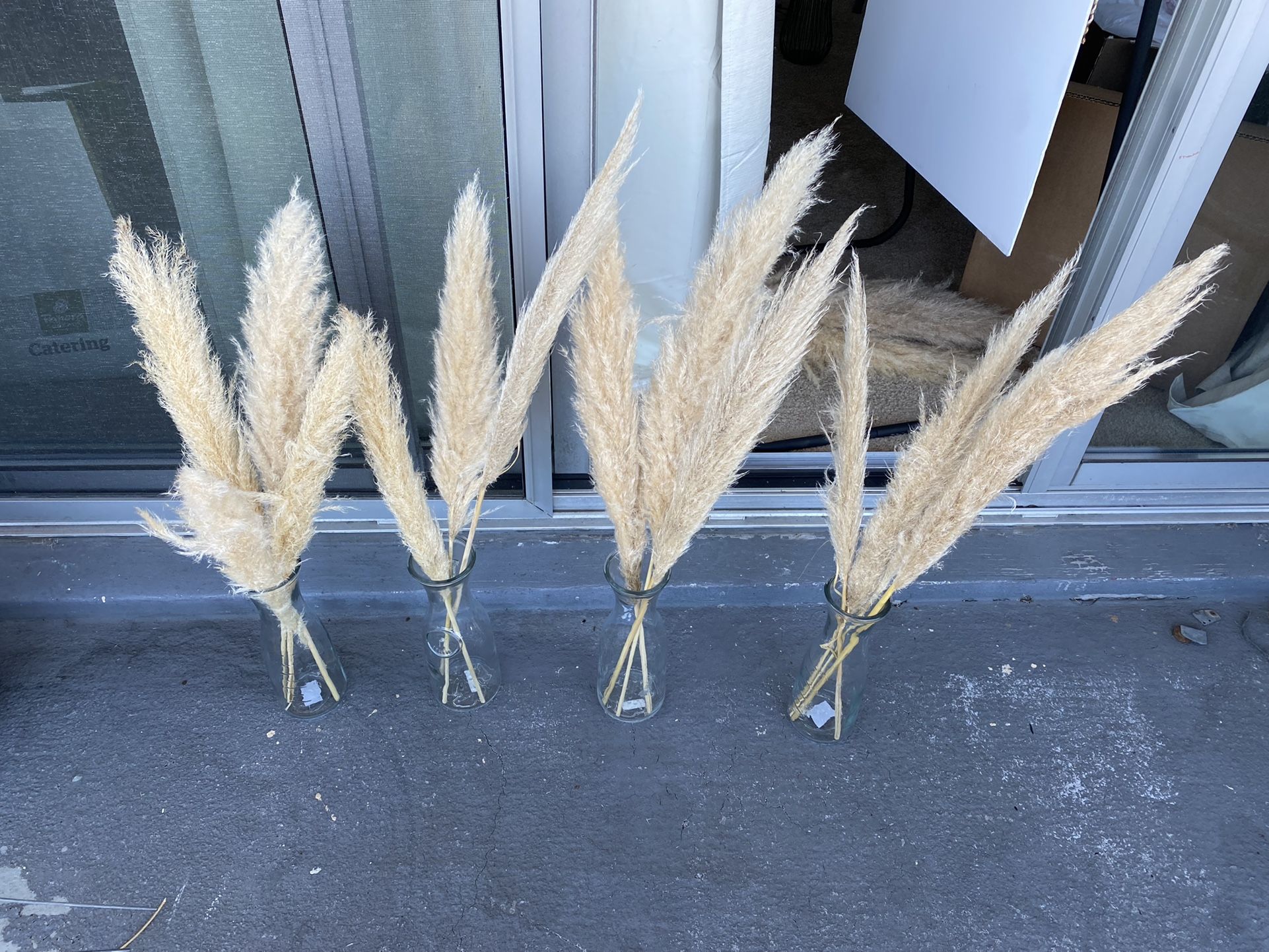 Wedding Or Home Decor Pampas Grass With Vases
