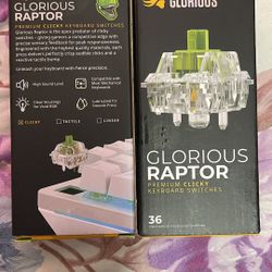 Keyboard Switches Raptors 72Count