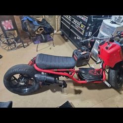 2023 Icebear Maddogg