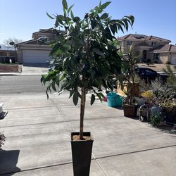 Artificial tree.     Plants Artificial 