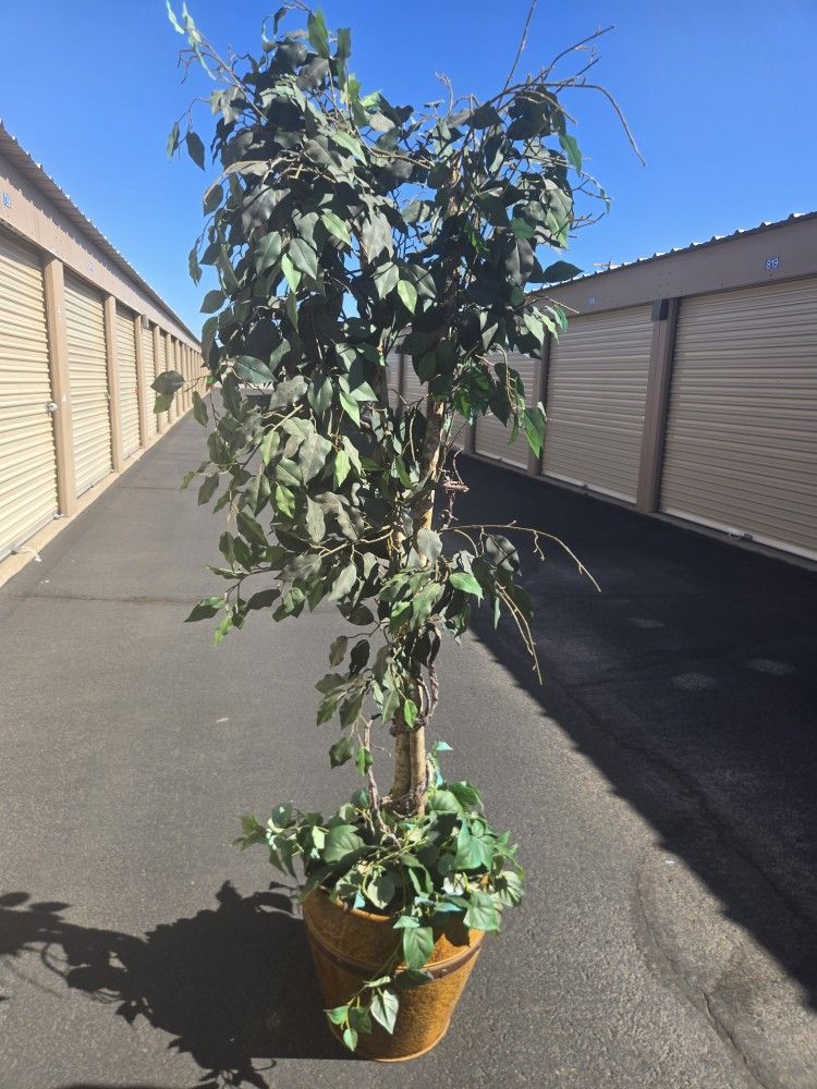 Artificial/Fake Plant