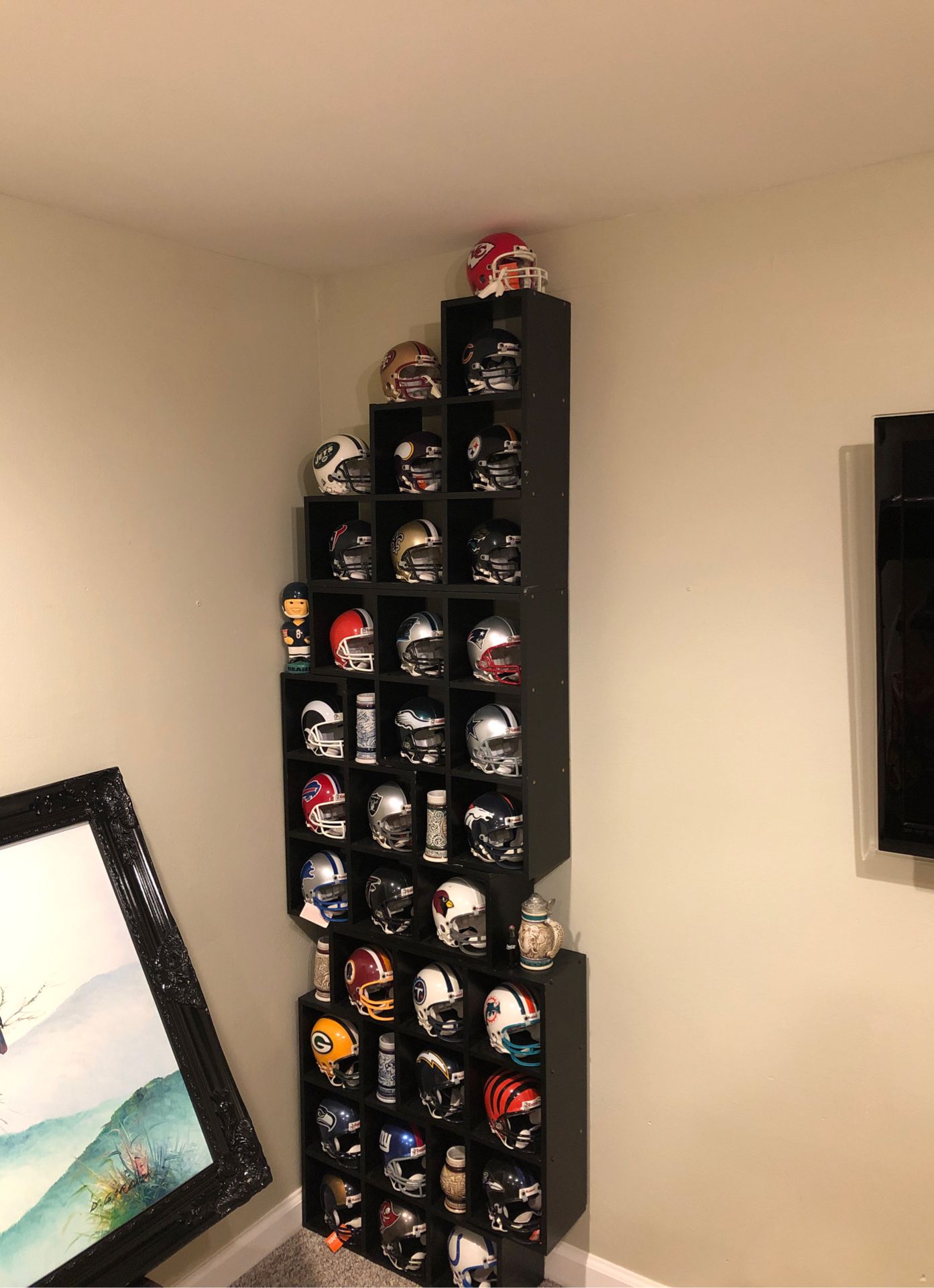 NFL helmet collection