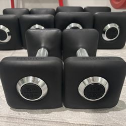 Peloton dumbbells