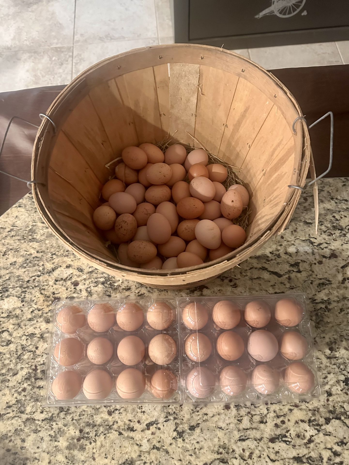 Eggs - Farm Fresh Organic