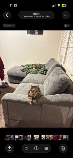 Gray Fabric Sectional Sofa with Chaise