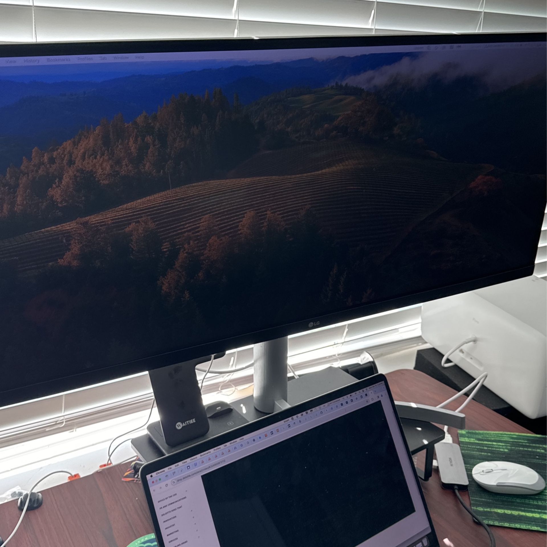 LG ultrawide FHD 34- Inch Computer Monitor