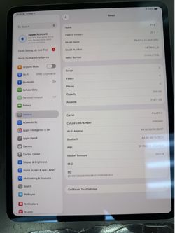 Apple iPad Pro 13 inch M5 256GB UNLOCKED