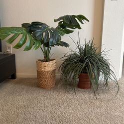 Artificial Plants/Fake Plants 