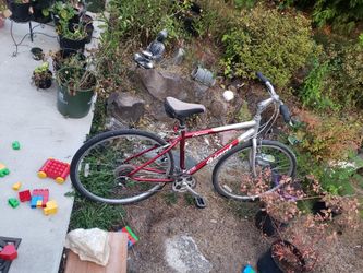 Mens Bike - Giant Brand