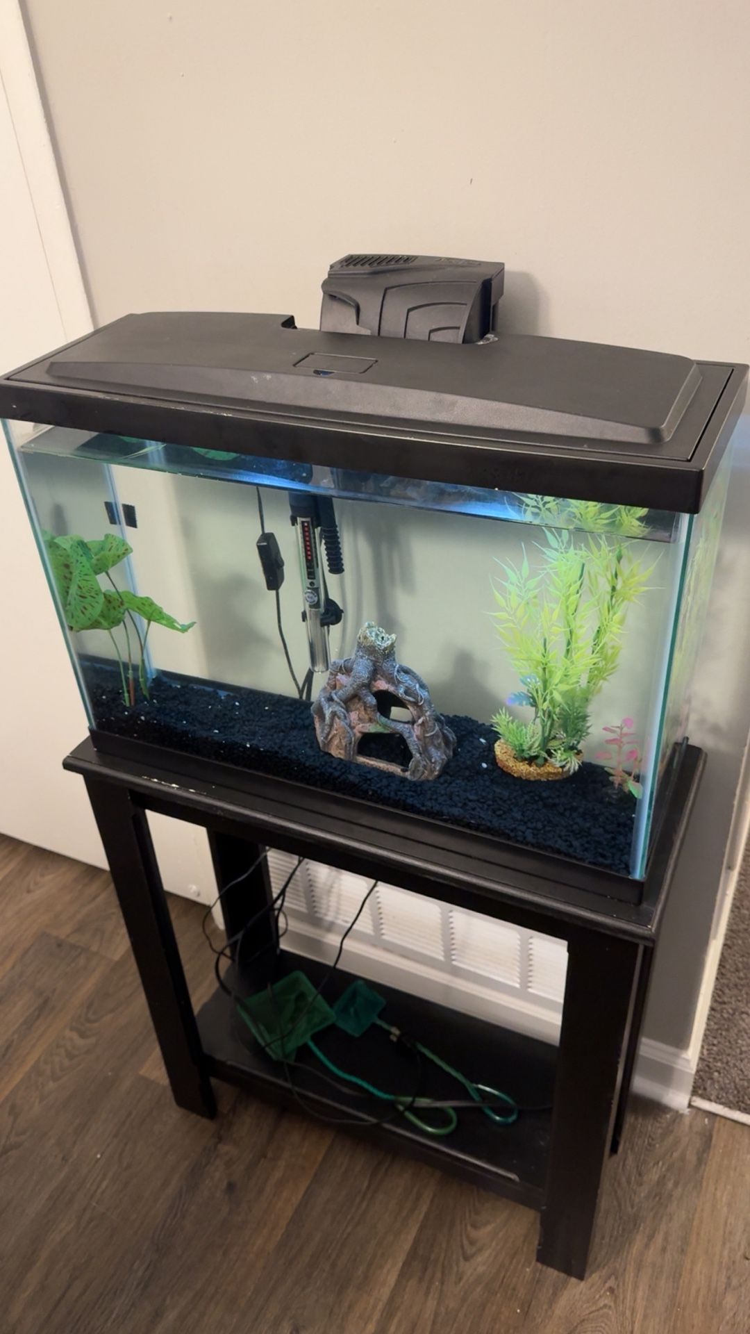 15 Gallon Fish Tank