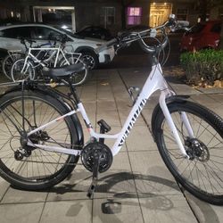 Specialized Roll 3.0 Low Entry Hybrid Bike in UV Lilac/Smoke/Black Reflective