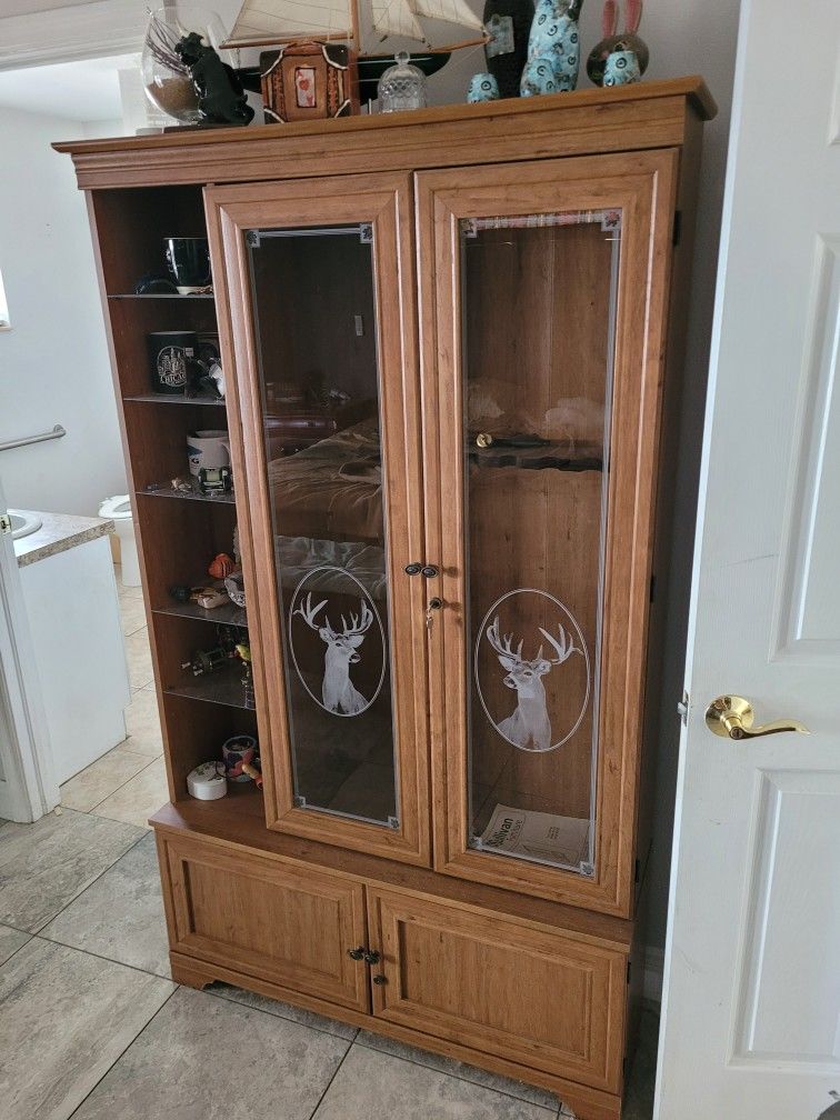 Gun And Display Cabinet