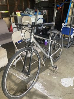 Gary Fisher BS 6102 City Bike