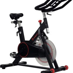 Sunny Bike Peloton Dupe 