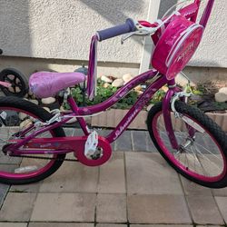 Schwinn Bike Size 20