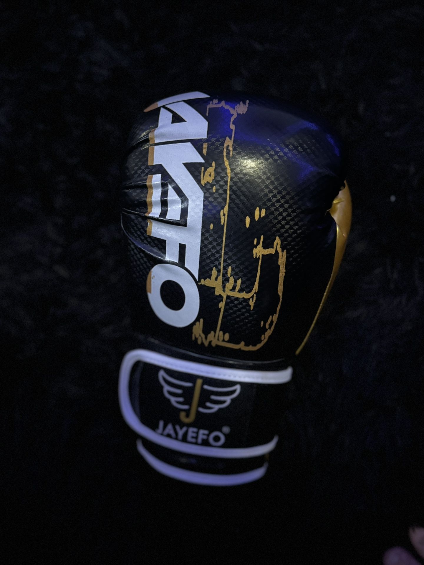 12oz Boxing Gloves