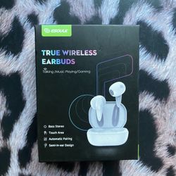 True Wireless Earbuds 