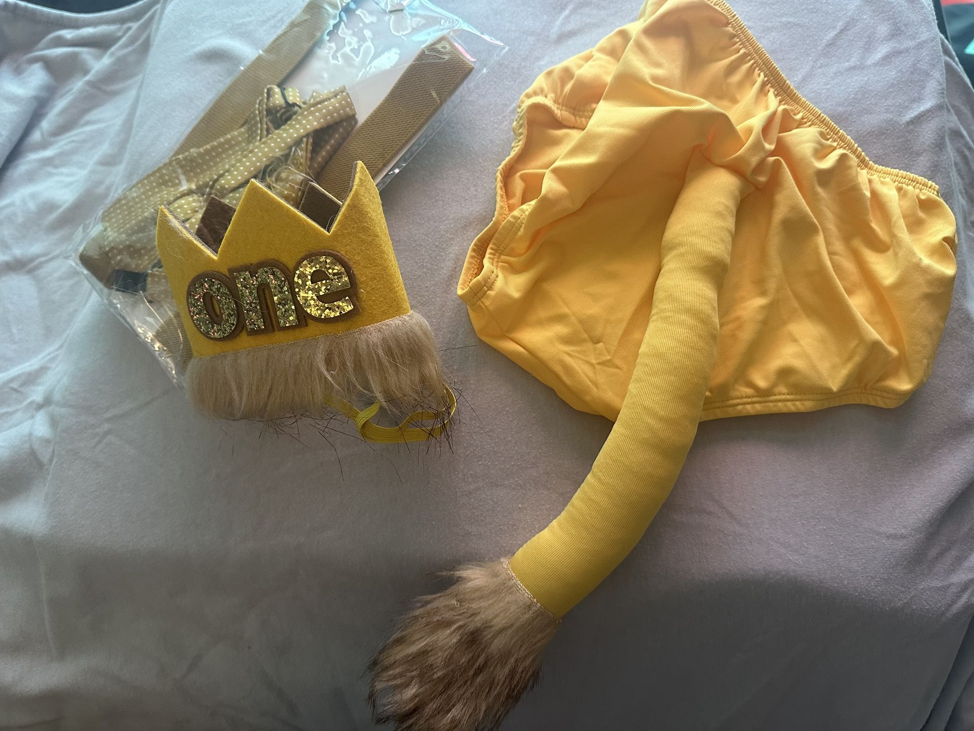 Lion First Birthday Cake Smash Outfit Wild One Birthday Outfit