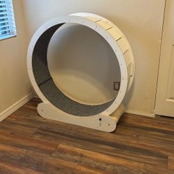 Cat Wheel