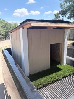 Dog House