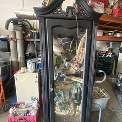 Ball Python morph cage with all decorations included
