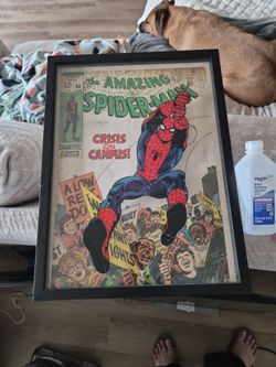 Spiderman wall art