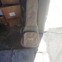 Taylor Guitar Case
