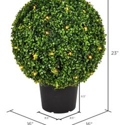 ornamental plant decorated with LED lights.