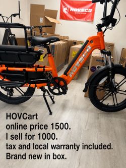 Family ebike - cargo electric bike