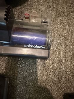 Animal + Vacuum Cleaner Head Attachment