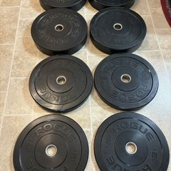 250 LBS ROGUE Olympic BUMPER Weight Plates/677.00 @ Rogue 