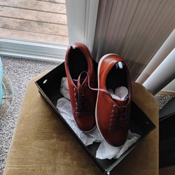 Shoes 10.5brand New