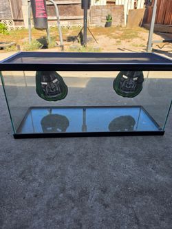 20 gallon tank