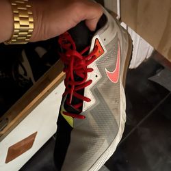 Lebron 18 Low